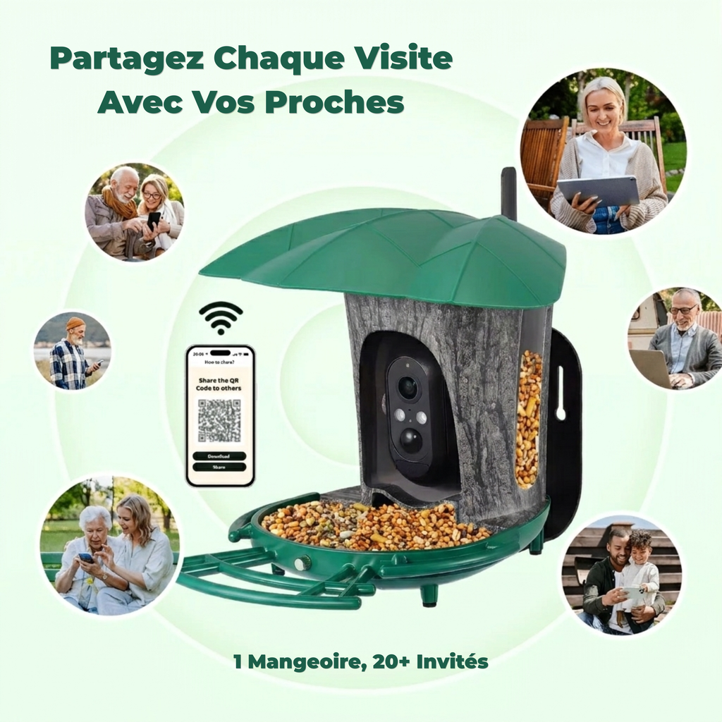 Mangeoire Oiseaux Caméra 180° Solaire 6W