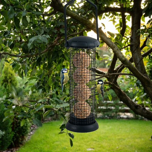Mangeoire à Boules de Suif Suspendue pour Oiseaux de Jardin