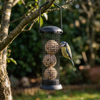 Mangeoire à Boules de Suif Suspendue pour Oiseaux de Jardin