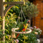 Balançoire Anneau en Corde pour Oiseaux de Compagnie