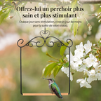 Perchoir et Balançoire en Bois Naturel et Fer pour Oiseaux de Compagnie