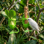 Perchoir 2-en-1 avec Mangeoire Intégrée pour Oiseaux de Compagnie