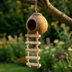 Jouet Perchoir en Bois Naturel pour Oiseaux de Compagnie