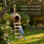 Jouet Perchoir en Bois Naturel pour Oiseaux de Compagnie