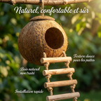 Jouet Perchoir en Bois Naturel pour Oiseaux de Compagnie