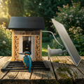 Mangeoire Connectée à Caméra 1080P Solaire 4W IP66 pour Oiseaux