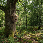 Nichoir en Bois Rustique pour Jardin