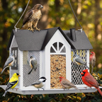 Mangeoire Cage en Fer pour Oiseaux