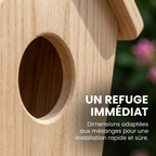 Nichoir en Bois Naturel en Forme de Maisonnette pour Oiseaux