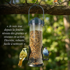 Mangeoire Anti-Écureuils pour Oiseaux