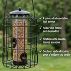 Mangeoire Anti-Écureuils pour Oiseaux