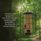 Mangeoire Anti-Écureuils pour Oiseaux