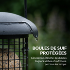 Mangeoire à Boules de Suif Suspendue pour Oiseaux de Jardin