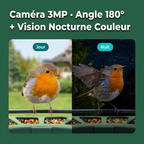Mangeoire Oiseaux Caméra 180° Solaire 6W