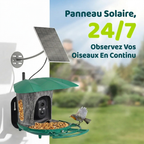 Mangeoire Oiseaux Caméra 180° Solaire 6W