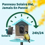 Mangeoire Caméra Intelligente 5W