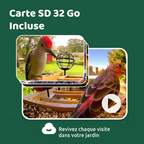 Mangeoire Caméra 2K SD 32 Go Incluse